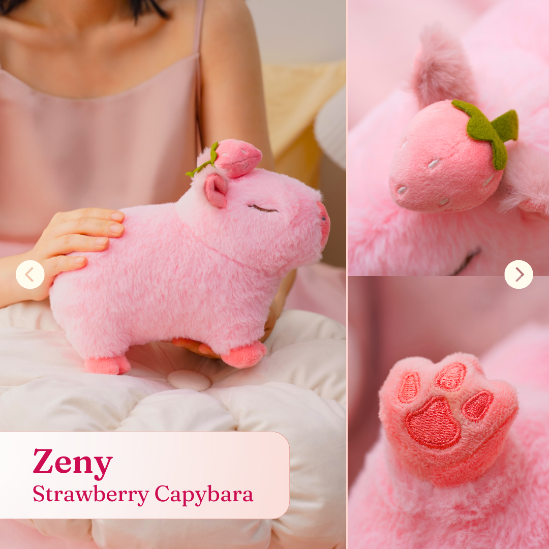 Products – Capy-Era Products – Capy-Era