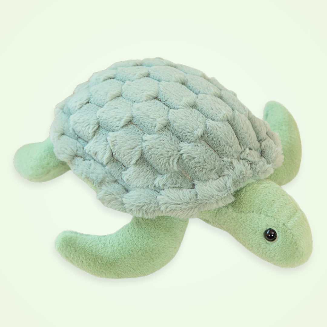 Turbo Green Turtle