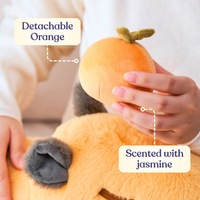 15" Zeno Plushie