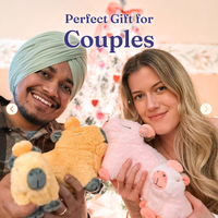 Capybara Plushies