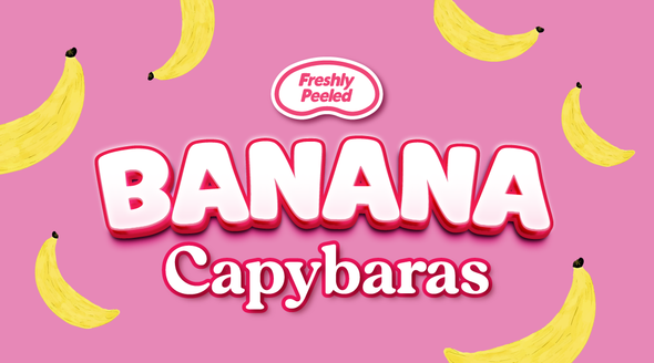 New Capy Drop – Capy-Era